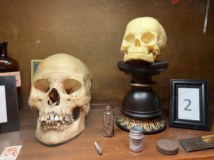 Look For The Monster Truck Hearse