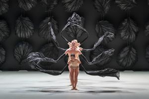 "Four Seasons" Beckons Spring