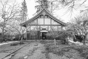 Connectors to Our Shared Humanity