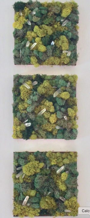 33 Artists Go Plant-Based