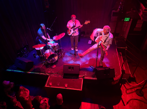 "Little Wings" Flies Wide