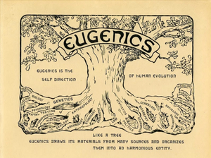 "Elimination Of The Unfit"