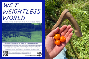 DIY Diary: Days 6 & 7