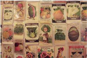 The Delights & Downfalls of Collecting