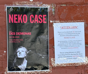 Neko Case Hits A New Stride