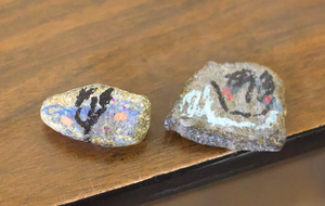 Pet Rocks Pop Up At Erector Square