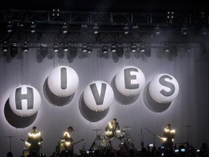 The Hives Survive