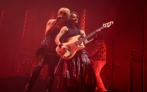 Rainbow Kitten Surprise Triumphs