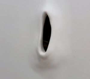 Jes Fan Is An Apt Pupa