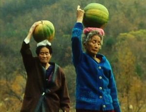 Byun Young-Joo Picks Up a Pumpkin