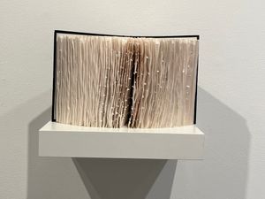Extra-Ordinary Obessions