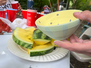 Backyard Potters Seed Community