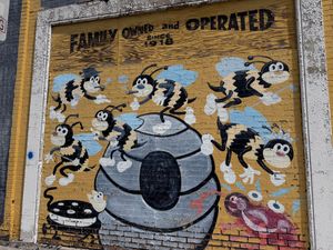 Who Will Save the Bees?