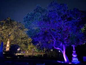 A New Way to See the Cemetery