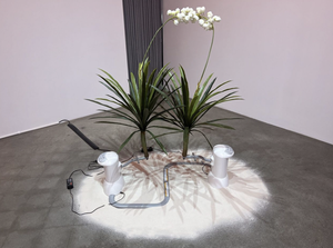 Best Artwork Ever, Borrowed & Adjusted