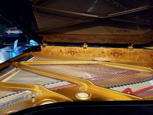 Roll Over, Steinway