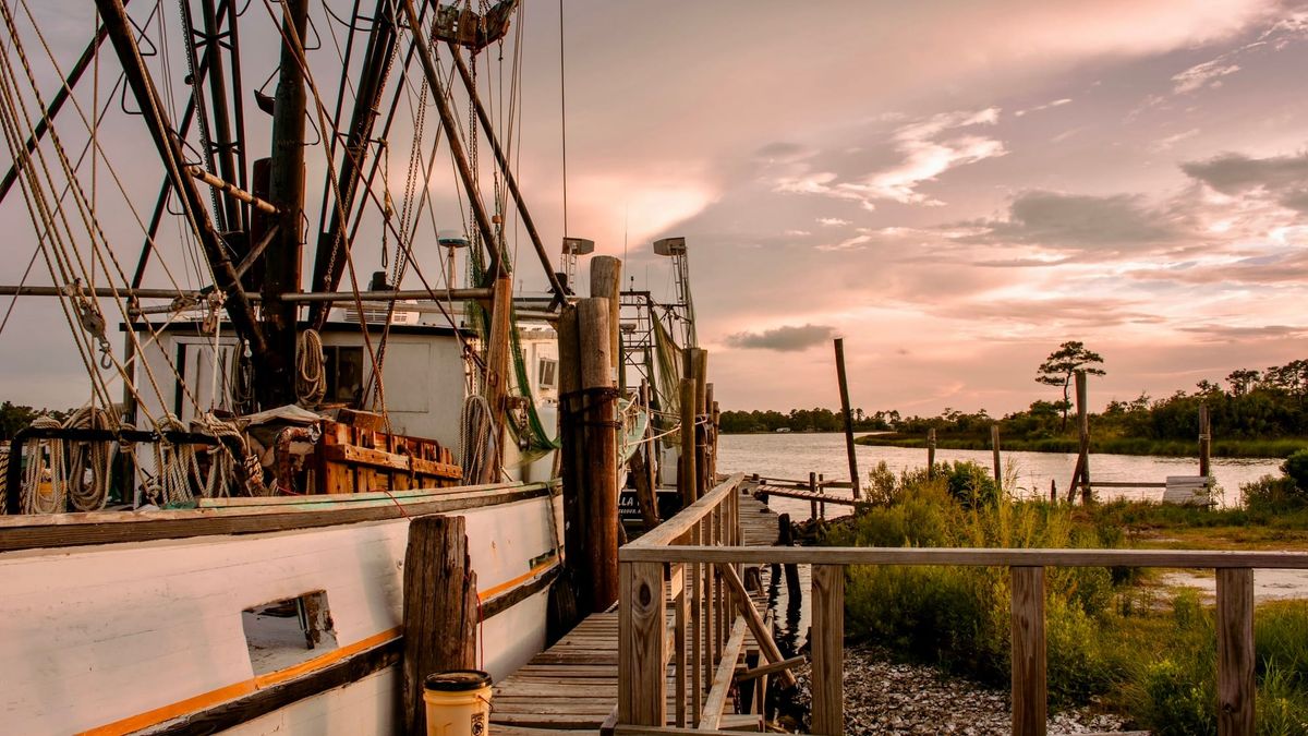 Alabama State Waters to Reopen for Shrimp Harvesting on June 1