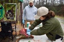 CWD Cases Remain Localized in Northwest Alabama