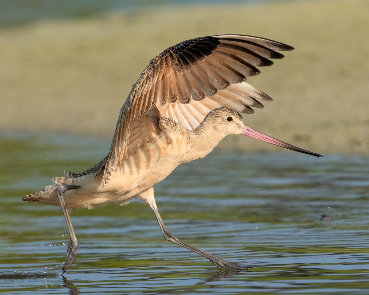 Outdoor Alabama Photo Contest Exhibition Opens in Montgomery on July 6