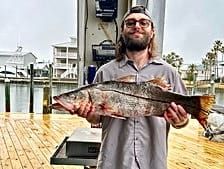 Snook Becoming More Common in Alabama Coastal Waters