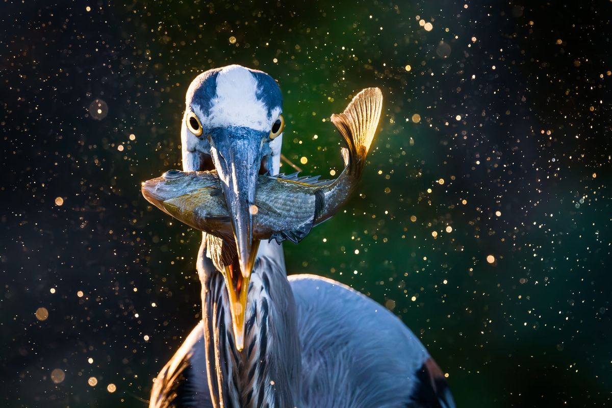 Outdoor Alabama Photo Contest Now Open