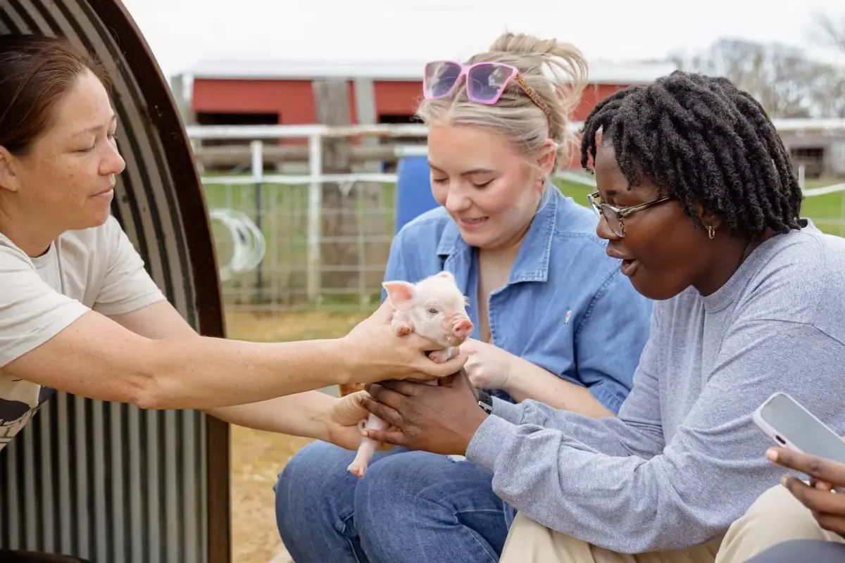 Airbnb Launches Grants to Grow Farm Tourism
