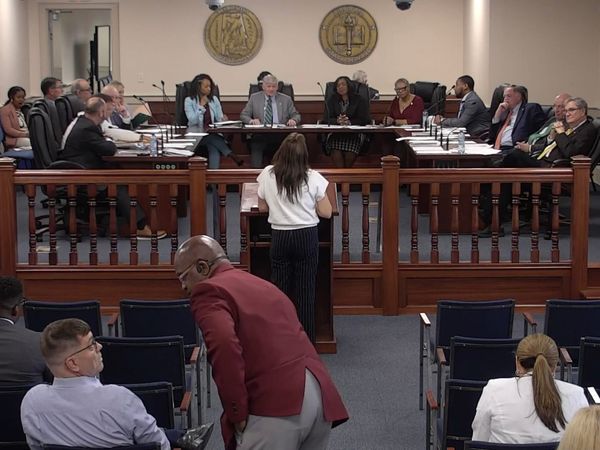 Election Audit Bill Receives Favorable Report from Senate Committee