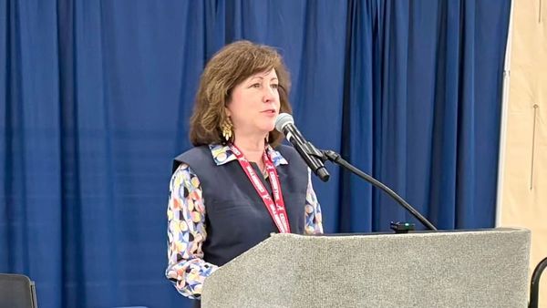 ADMH Commissioner Presents Draft Veterans Mental Health Plan to Senate Committee