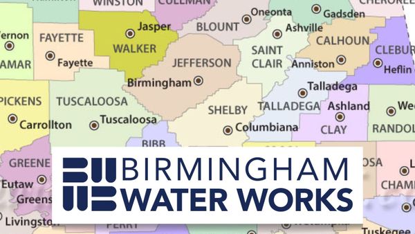 The Birmingham Water Works Follies