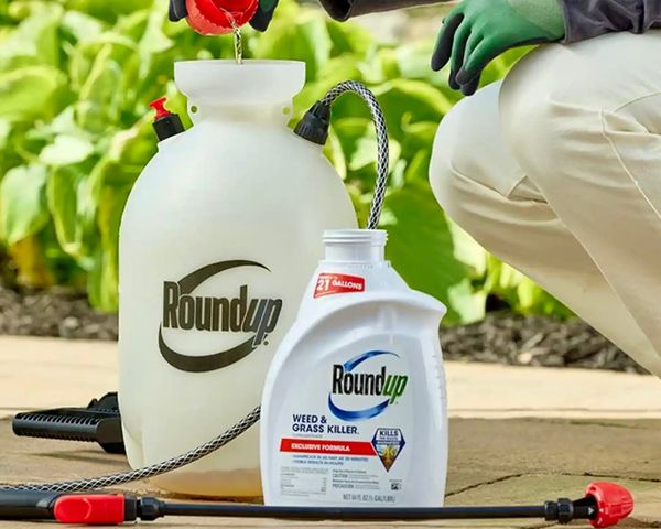 House Rider Could Give Roundup Makers Vaccine-Style Immunity — While Threats to Public Health Multiply