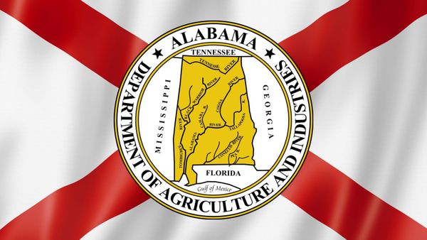 Ag & Industries Race Shows Wide Range in June Fundraising