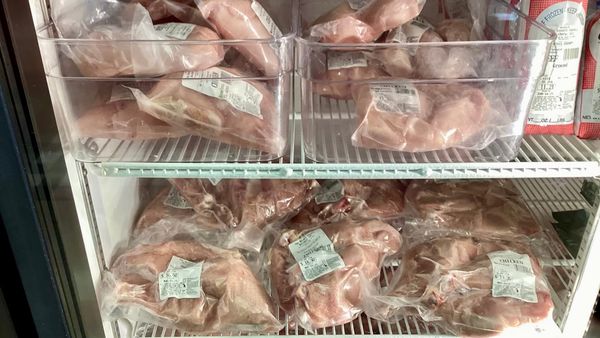 Russell County Butchery Shuts Doors After AL Department of Ag & Industries Action