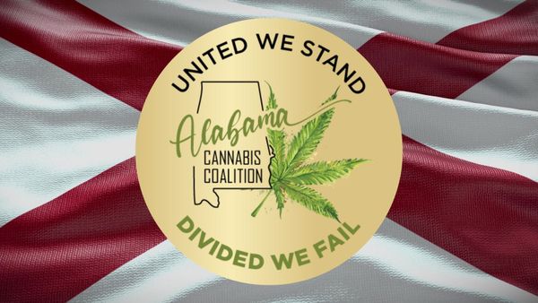 Alabama Cannabis Coalition Issues Final Endorsements in Birmingham, Other Municipal Races
