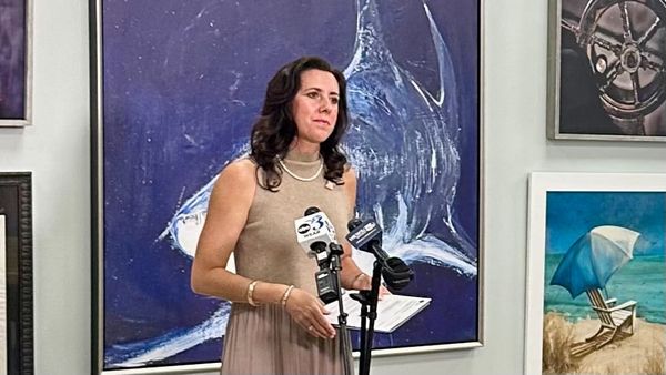 Christina Woerner McInnis Responds Following Guilty Plea in Baldwin County Stalking Case