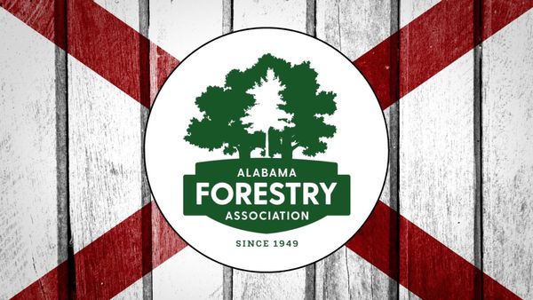 The Alabama Forestry Association Announces Its Slate of Judicial Endorsements for 2026