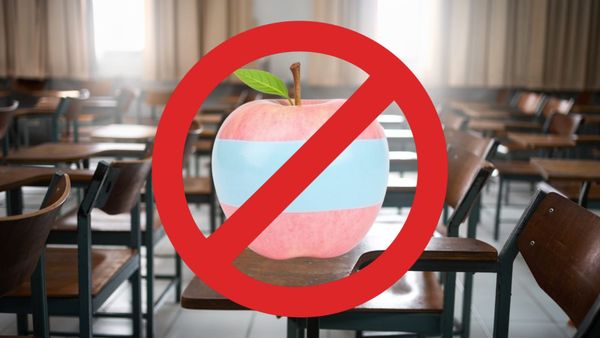 Alabama Lawmakers Butler, Harrison & Gidley Pre-file Bill to Bar Pronouns, Gender Identity Discussions in Classrooms