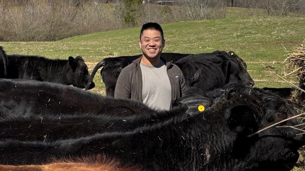 ALFA Endorses Derek Chen for State Auditor