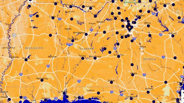 No Kings Rallies Scheduled for Saturday: Spontaneous Outcry or Well-Funded Theater?