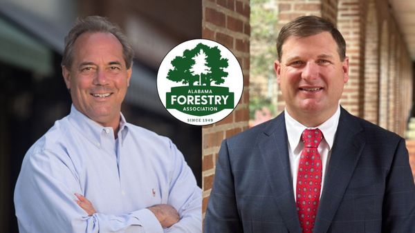 Alabama Forestry Association Endorses Livingston, Stadthagen for Legislature