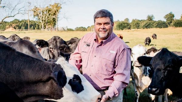 Alabama Cattlemen Back Corey Hill for Agriculture Commissioner
