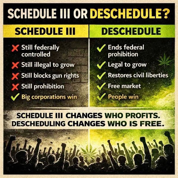 Alabama Cannabis Coalition Responds to Cannabis Rescheduling Order