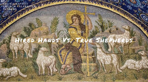 Hired Hands vs. True Shepherds