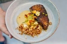 Nicolaisen Crowned Champion at Alabama Seafood Cook-Off