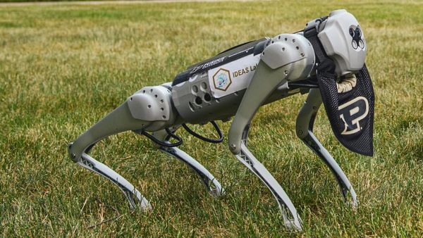 Purdue Becomes First With AI Graduation Requirement