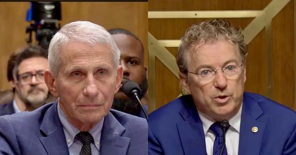 Senate Panel Votes to Hold Fauci in Contempt