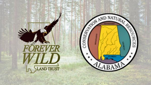 Youth Hunt Dates Announced for Forever Wild Field Trial Area Registration opens October 2