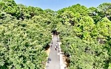 Fort Morgan Trail Adds to Gulf State Park Adventure List
