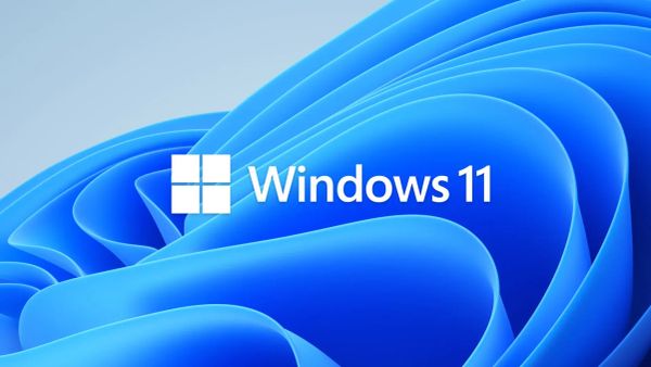 Microsoft tente de sauver Windows et Xbox