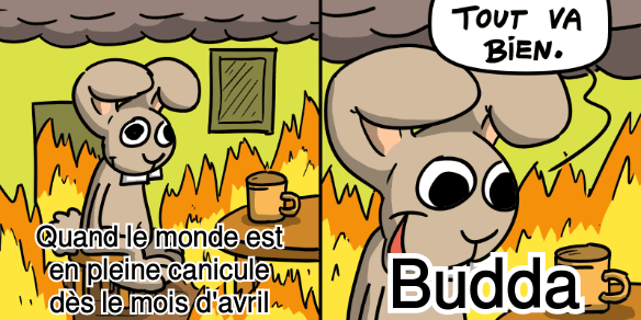 Comment encaisser la canicule ?