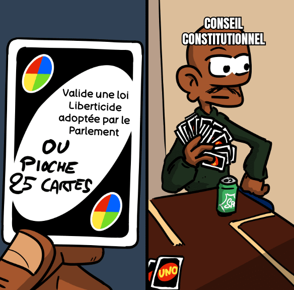 Le Conseil Constitutionnel dit merde à l'interdiction des Réseaux Sociaux aux moins de 15 ans